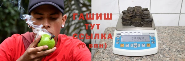 сатива Армянск