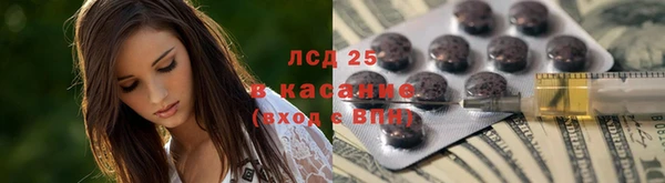 трава Аркадак