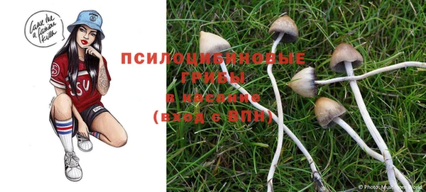скорость Арсеньев