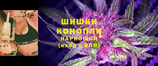 сатива Армянск