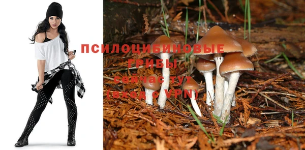 трава Аркадак