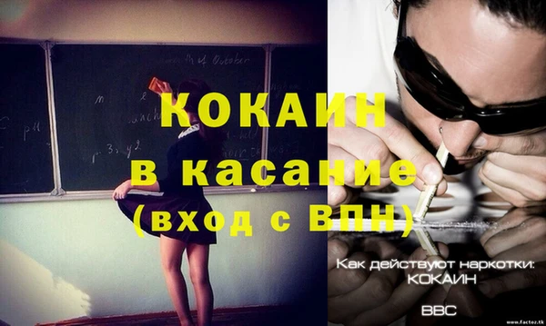 сатива Армянск