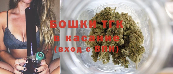 трава Аркадак